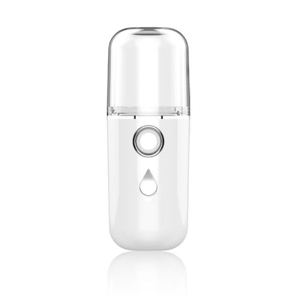 Electric moisturizing beauty steaming instrument